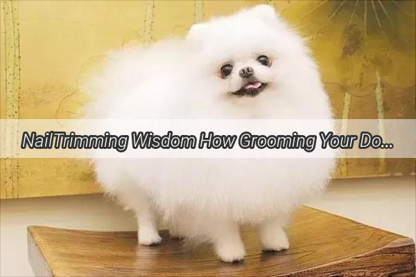 NailTrimming Wisdom How Grooming Your Dogs Claws Prevents Unwanted Scratches